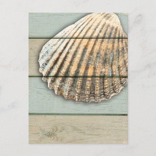 Cardita Shell Briefkaart (Voorkant)