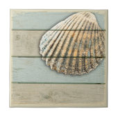Cardita Shell Tegeltje (Voorkant)