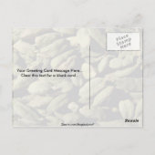 Cardomomzaden Briefkaart (Achterkant)
