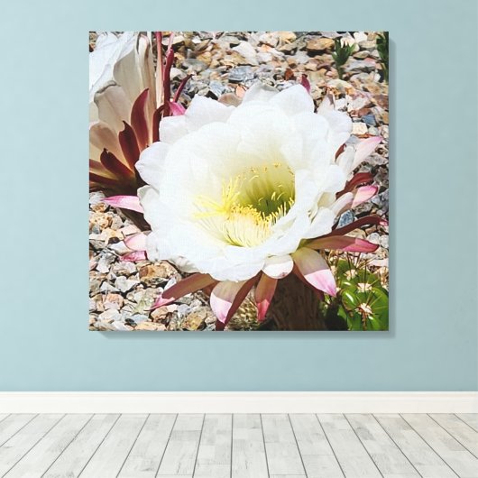 Cardon Grande Cactus Foto Canvas Afdruk (Insitu (Houten vloer))