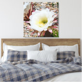 Cardon Grande Cactus Foto Canvas Afdruk (Insitu (Slaapkamer))