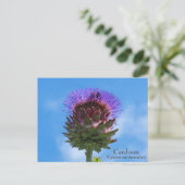 Cardoon Flower Briefkaart (Staand voorkant)