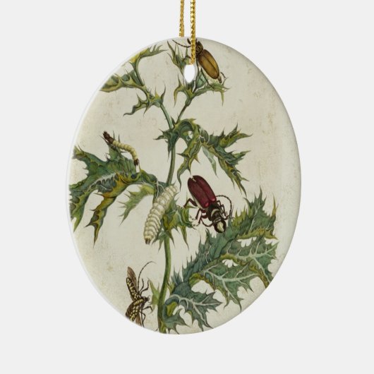 Cardos Spinosus: Ruitenhoeken en -pijlers, bord 6 Keramisch Ornament (Rechts)