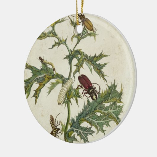 Cardos Spinosus: Ruitenhoeken en -pijlers, bord 6 Keramisch Ornament (Links)