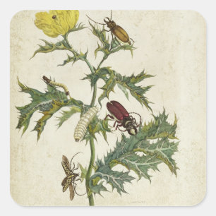 Cardos Spinosus: Ruitenhoeken en -pijlers, bord 6 Vierkante Sticker