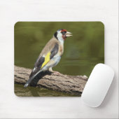 Carduelis carduelis muismat (Met muis)