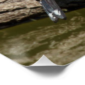 Carduelis carduelis perfect poster (Hoek)