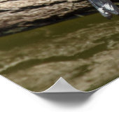 Carduelis carduelis poster (Hoek)