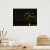 Cardwell Palm Poster (Keuken)