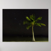 Cardwell Palm Poster (Voorkant)