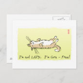 Carefree Cat Briefkaart (Voorkant / Achterkant)