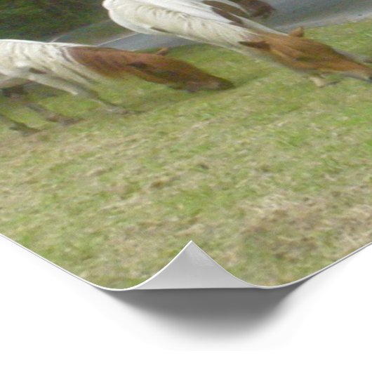 Carefree Ponies Poster (Hoek)