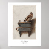 Carel Fabritius Goldfinch Dutch 1654 Fine Art Poster (Voorkant)