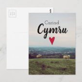 Cariad Cymru  Wales Landscape Boerderij Sheep Briefkaart (Voorkant / Achterkant)
