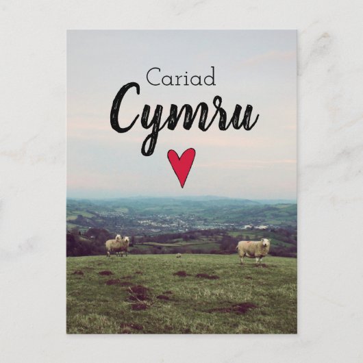 Cariad Cymru  Wales Landscape Boerderij Sheep Briefkaart (Voorkant)