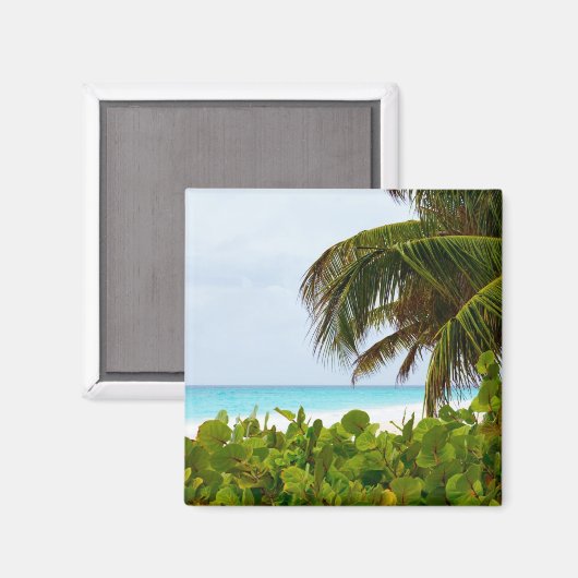 CARIBBEAN BEACH - BARBADOS MAGNEET (Voorkant / Achterkant)