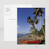 CARIBBEAN, Grenada, St George, Boats on palm Briefkaart (Voorkant / Achterkant)