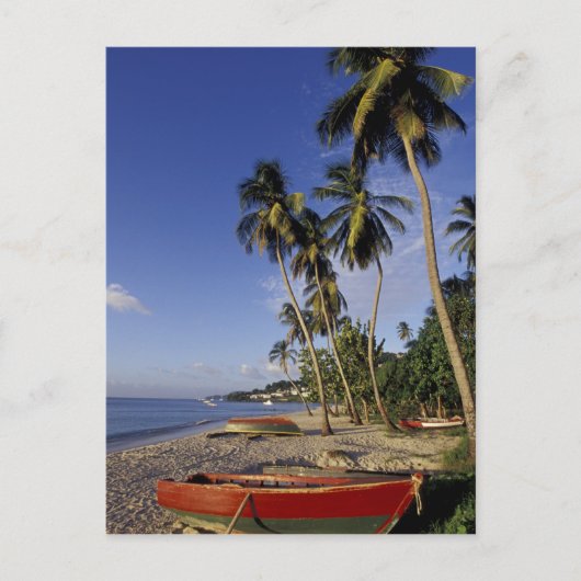 CARIBBEAN, Grenada, St George, Boats on palm Briefkaart (Voorkant)