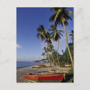 CARIBBEAN, Grenada, St George, Boats on palm Briefkaart