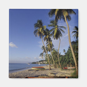 CARIBBEAN, Grenada, St. George, Boats on palm Magneet