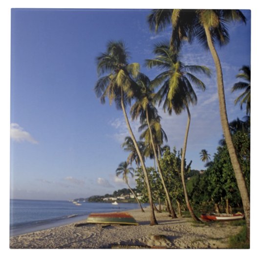 CARIBBEAN, Grenada, St. George, Boats on palm Tegeltje (Voorkant)