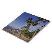 CARIBBEAN, Grenada, St. George, Boats on palm Tegeltje (Zijkant)