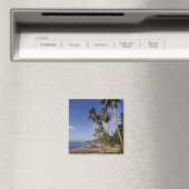 CARIBBEAN, Grenada, St. George, Boten op palm Magneet (Insitu (Vaatwasser))