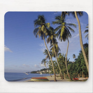 CARIBBEAN, Grenada, St. George, Boten op palm Muismat