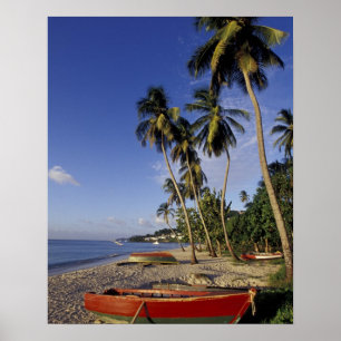 CARIBBEAN, Grenada, St. George, Boten op palm Poster
