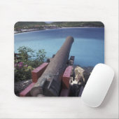 CARIBBEAN, St. Barts, Connon die naar de baai van Muismat (Met muis)