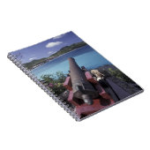 CARIBBEAN, St. Barts, Connon die naar de baai van Notitieboek (Rechterzijde)