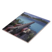 CARIBBEAN, St. Barts, Connon die naar de baai van Tegeltje (Zijkant)