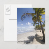 Caribbean - Trinidad - Manzanilla Beach on Briefkaart (Voorkant / Achterkant)