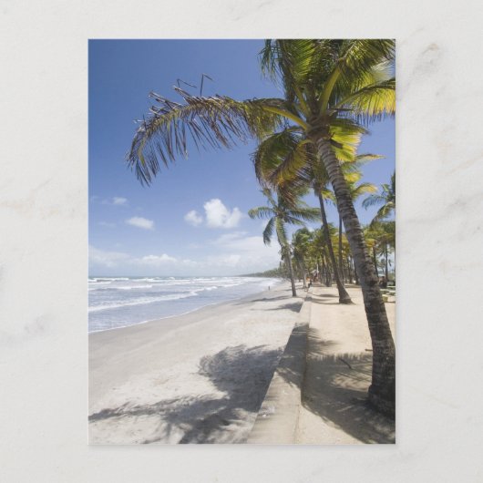 Caribbean - Trinidad - Manzanilla Beach on Briefkaart (Voorkant)