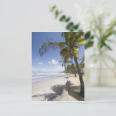 Caribbean - Trinidad - Manzanilla Beach on Briefkaart (Staand voorkant)