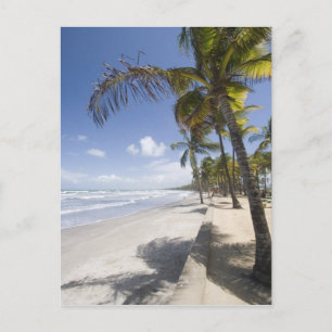 Caribbean - Trinidad - Manzanilla Beach on Briefkaart