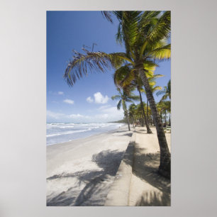 Caribbean - Trinidad - Manzanilla Beach on Poster