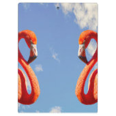 Caribbeans Flamingo pair Klembord (Achterkant)