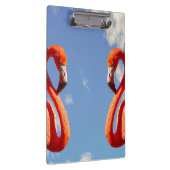 Caribbeans Flamingo pair Klembord (Rechts)