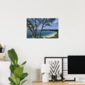 Caribisch, Anguilla eiland, Road Bay Haven. Poster (Thuiskantoor)