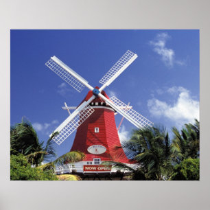 Caribisch, Aruba. Oude molen, omgebouwd tot 'Molen Poster