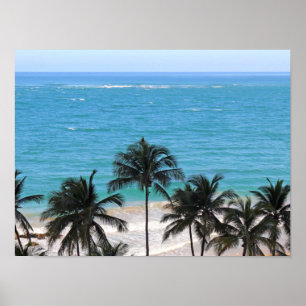Caribisch blauw poster