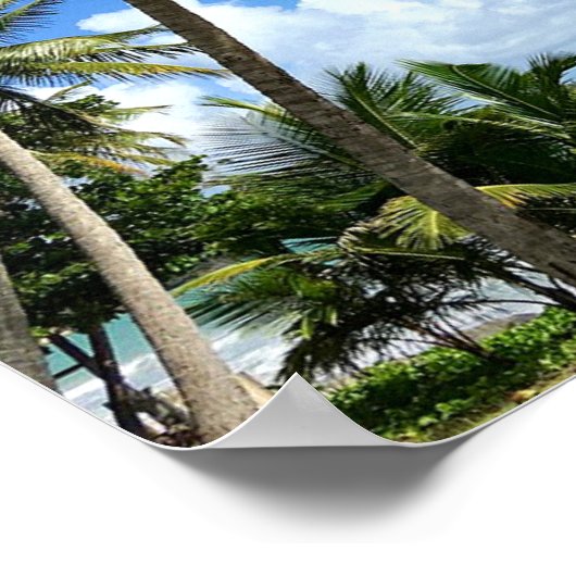 Caribisch eiland, Martinique Poster (Hoek)