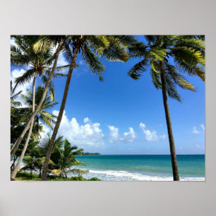 Caribisch eiland, Martinique Poster