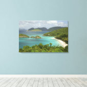 Caribisch gebied, Amerikaanse Maagdeneilanden, St. Canvas Afdruk (Insitu (Houten vloer))