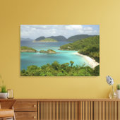 Caribisch gebied, Amerikaanse Maagdeneilanden, St. Canvas Afdruk (Insitu (Woonkamer))