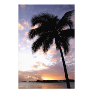 Caribisch gebied, Amerikaanse Maagdeneilanden, St. Foto Afdruk