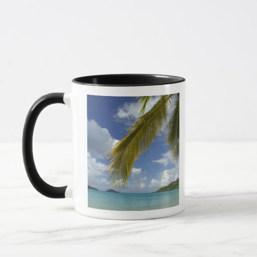 Caribisch gebied, Amerikaanse Maagdeneilanden, St. Mok (Links)