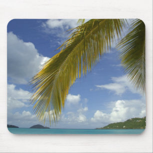 Caribisch gebied, Amerikaanse Maagdeneilanden, St. Muismat