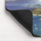 Caribisch gebied, Antigua. Muismat (Hoek)